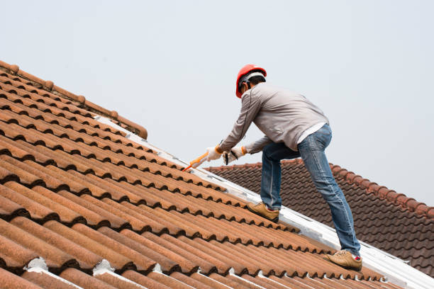 Best Green or Eco-Friendly Roofing Solutions  in Mayville, MI