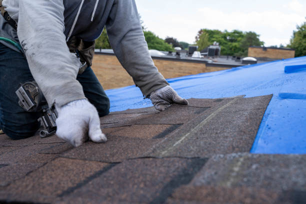 Best Commercial Roofing Services  in Mayville, MI