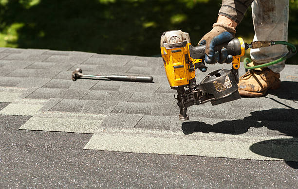 Best Emergency Roof Repair Services  in Mayville, MI