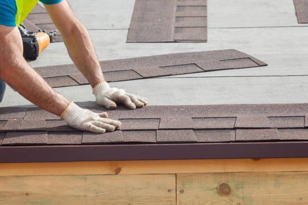 Best Metal Roofing Installation  in Mayville, MI